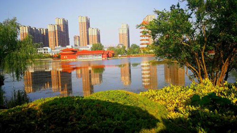 丰县在线：如何成为本地新闻的忠实追随者？