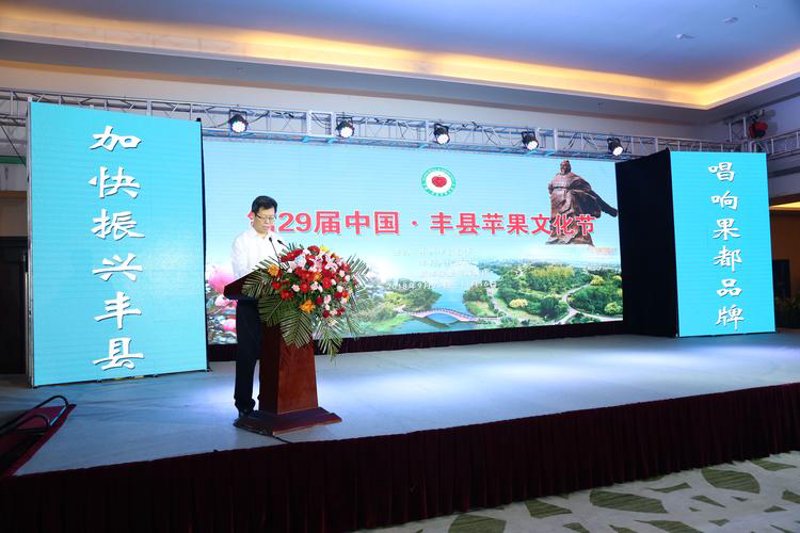 丰县网站建设