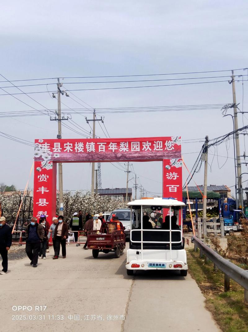 丰县广告公司的趋势解读与营销策略